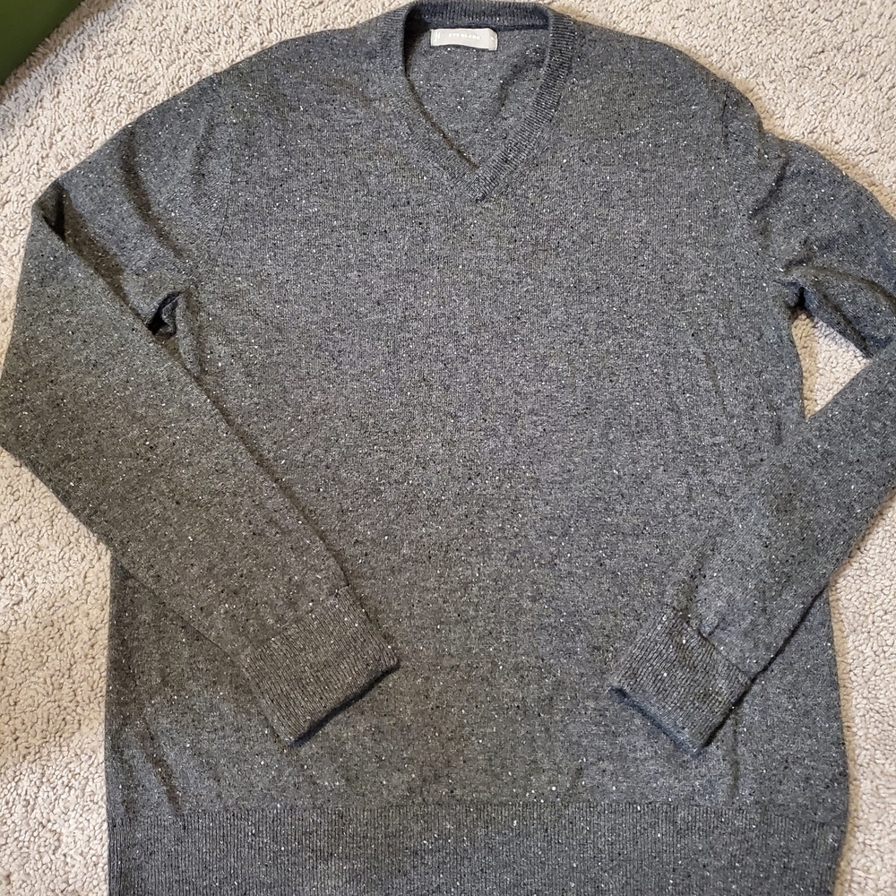 Everlane 100% Cashmere V-Neck Sweater